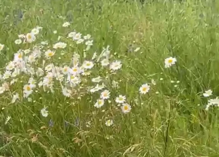 Semesterbostad Cosy House In Center Of Tartu